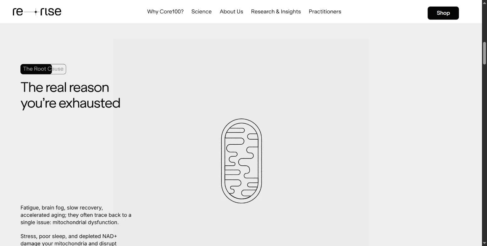 The Root Cause — reframing fatigue and brain fog as mitochondrial dysfunction, before the product pitch